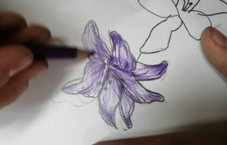 آموزش نقاشی سایه رنگ 3