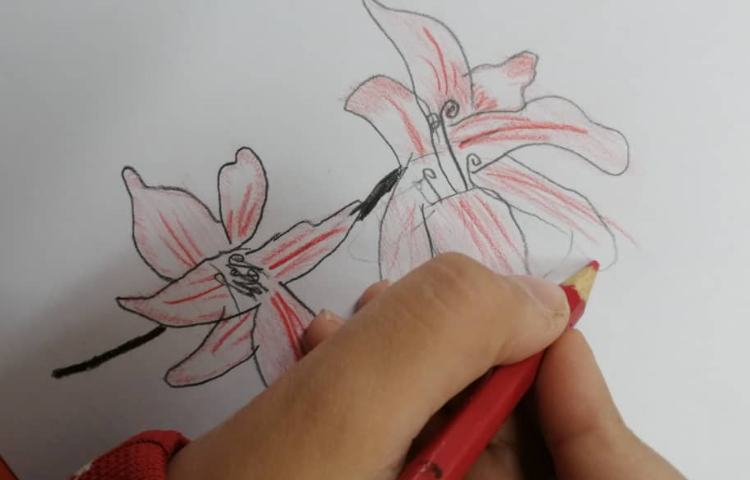 آموزش نقاشی سایه رنگ 4