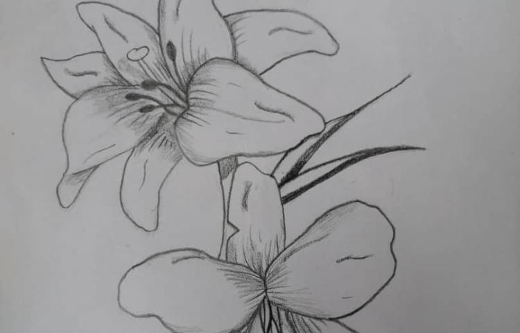 آموزش نقاشی سایه رنگ 5