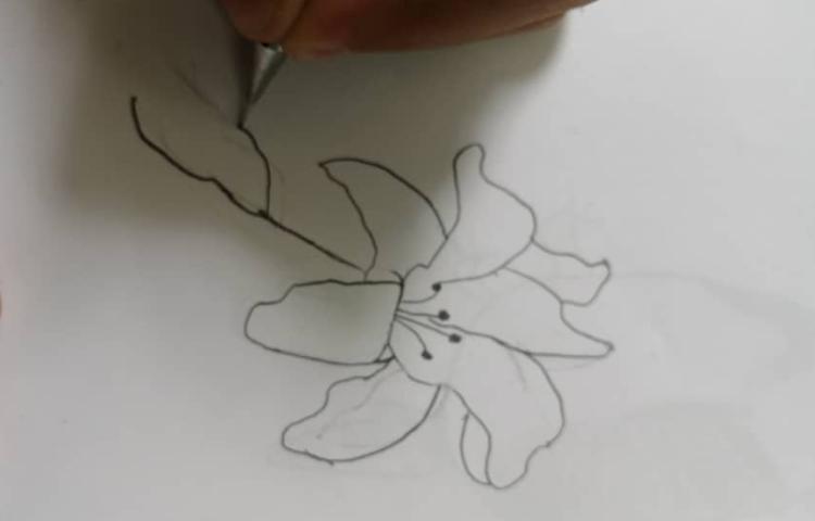 آموزش نقاشی سایه رنگ 6