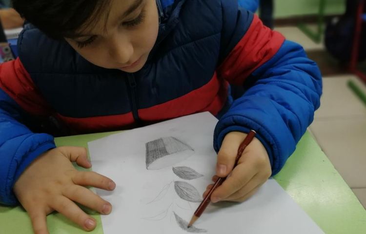 آموزش نقاشی سیاه قلم گیاهان پایه چهارم 4