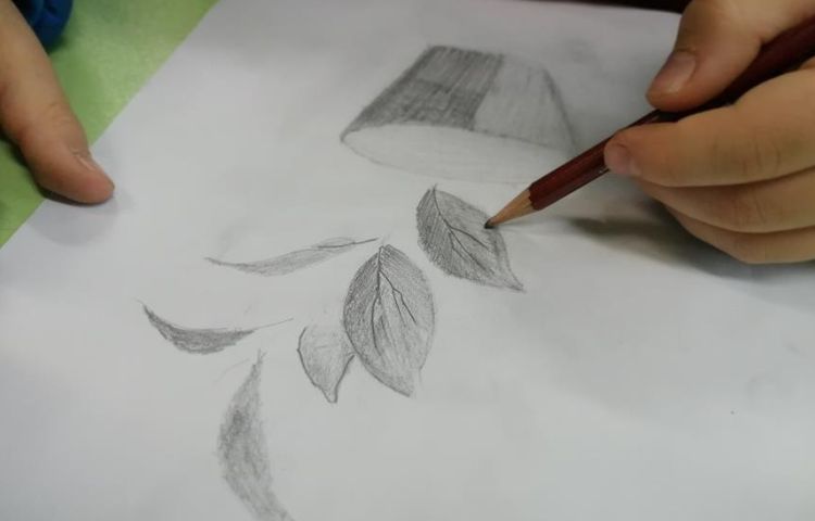 آموزش نقاشی سیاه قلم گیاهان پایه چهارم 5