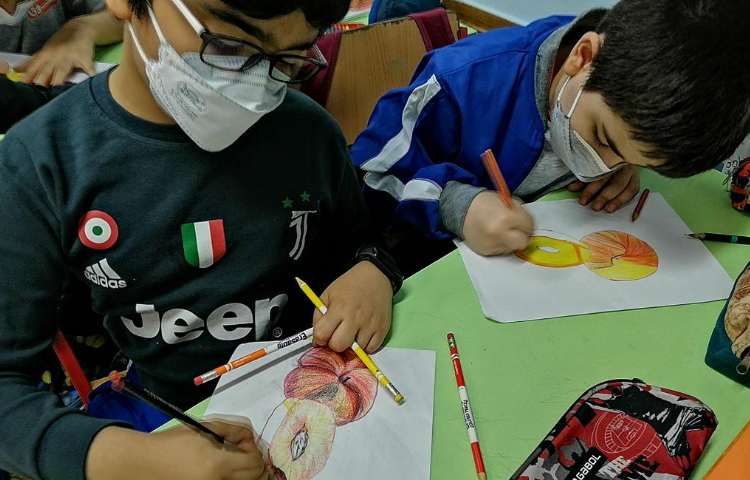 آموزش نقاشی میوه پایه ششم 1