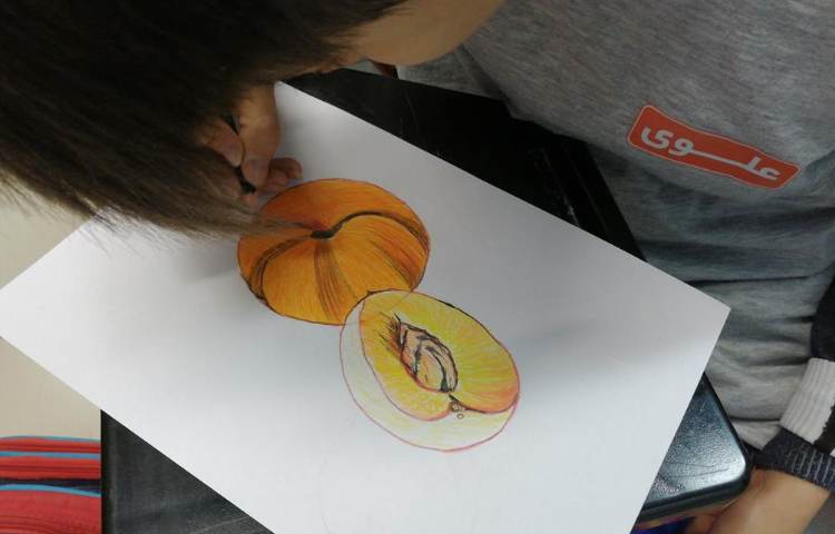آموزش نقاشی میوه پایه ششم 4