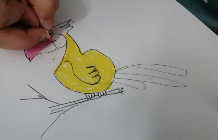 آموزش نقاشی و طراحی پرندگان 7