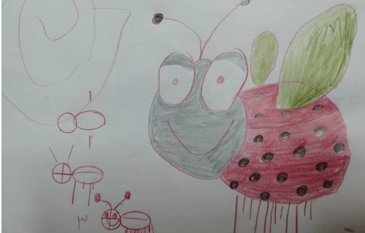 آموزش نقاشی کفشدوزک 1