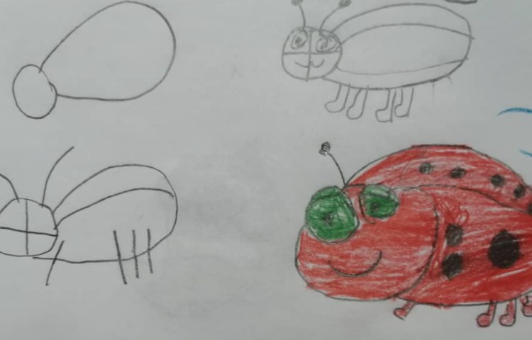 آموزش نقاشی کفشدوزک 4