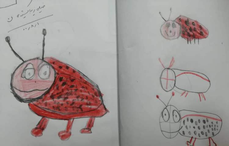 آموزش نقاشی کفشدوزک 5