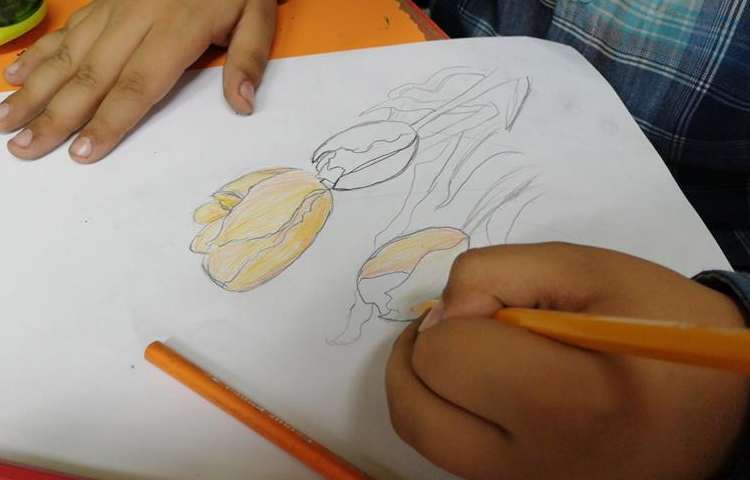 آموزش نقاشی گل پایه چهارم 4