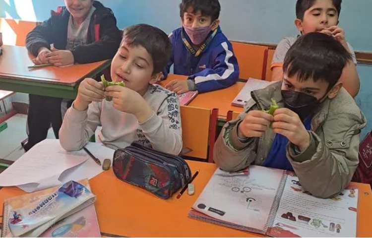 آموزش و آشنایی با ساختار گیاهان پایه سوم دبستان 1