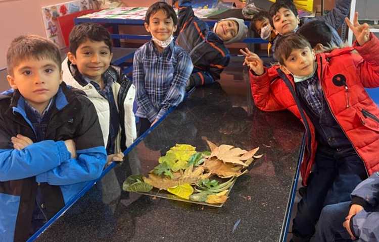 آموزش و اشنایی با انواع گیاهان و سبزیجات 1