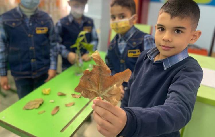 آموزش و اشنایی با انواع گیاهان و سبزیجات 10