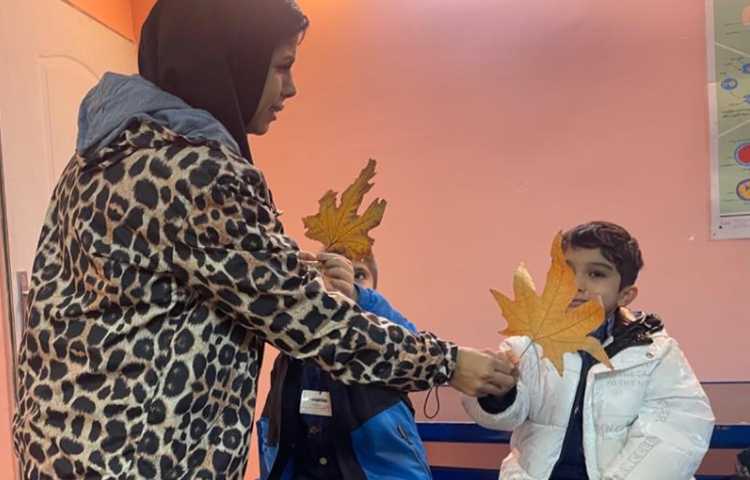 آموزش و اشنایی با انواع گیاهان و سبزیجات 12