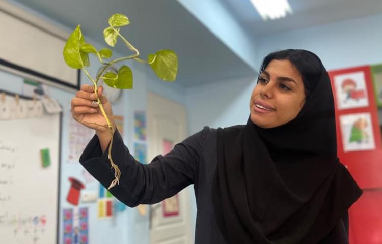 آموزش و اشنایی با انواع گیاهان و سبزیجات 13