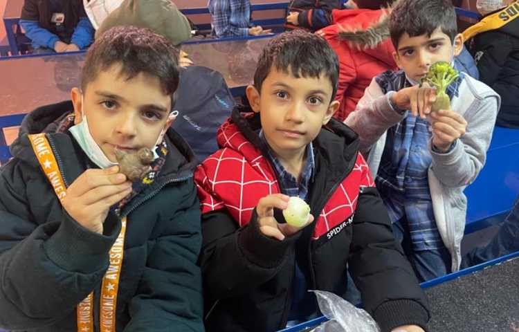 آموزش و اشنایی با انواع گیاهان و سبزیجات 14