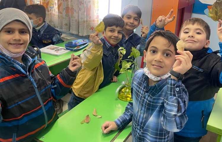 آموزش و اشنایی با انواع گیاهان و سبزیجات 4