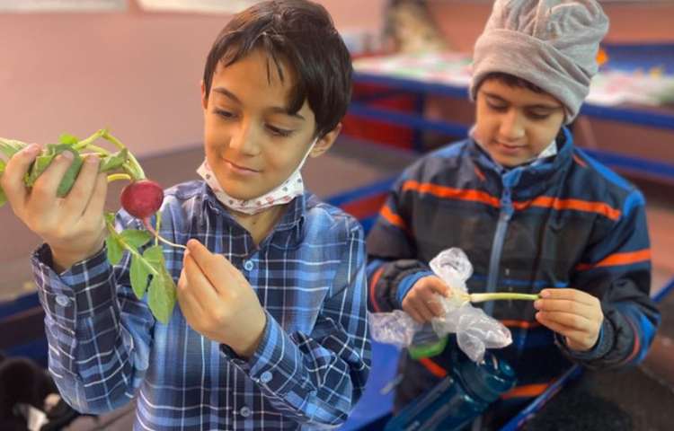 آموزش و اشنایی با انواع گیاهان و سبزیجات 5