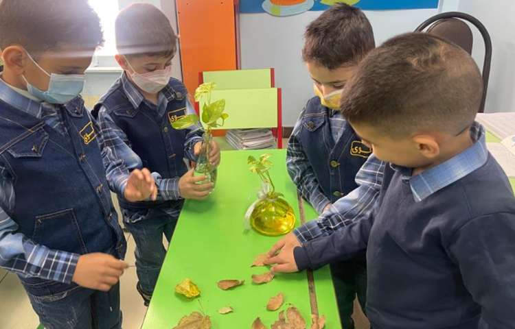 آموزش و اشنایی با انواع گیاهان و سبزیجات 7