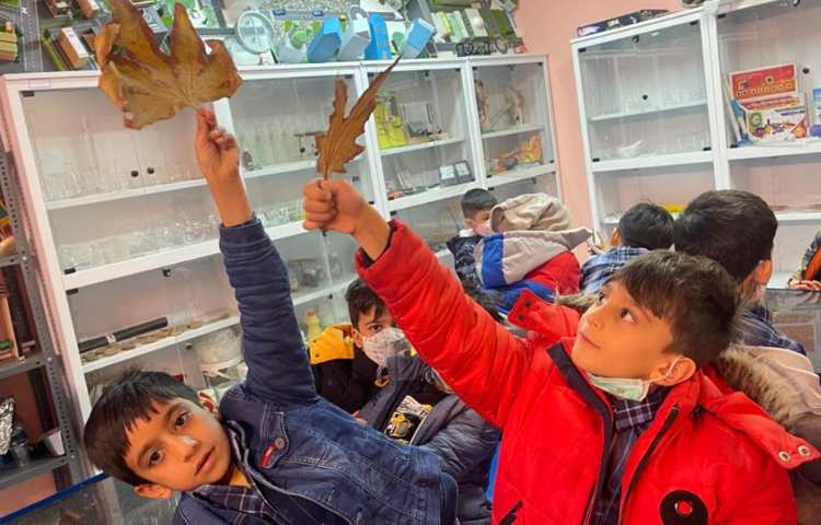 آموزش و اشنایی با انواع گیاهان و سبزیجات 9