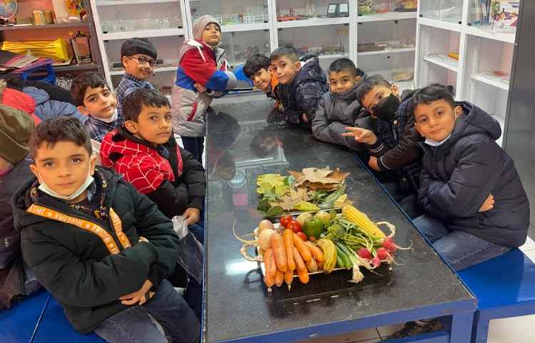 آموزش و اشنایی با انواع گیاهان و سبزیجات