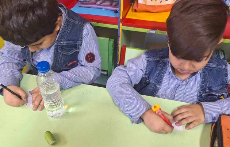 آموزش پاسخگویی به آزمون تیمز و پرلز 5