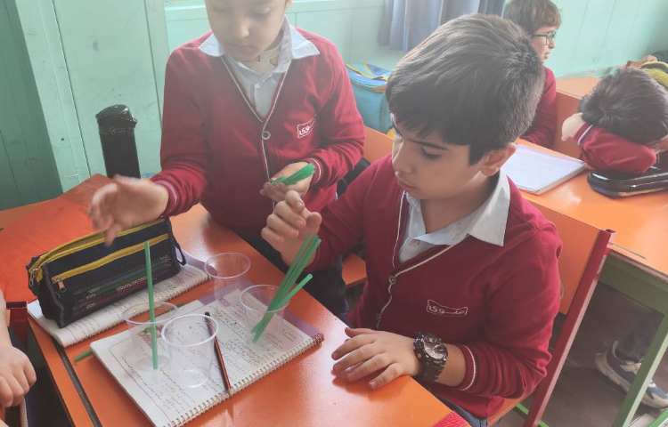 آموزش پایه مفهوم تقسیم 1