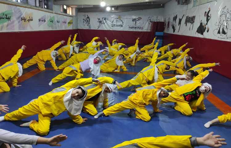 آموزش پرش گربه و مسابقه حمل توپ 1