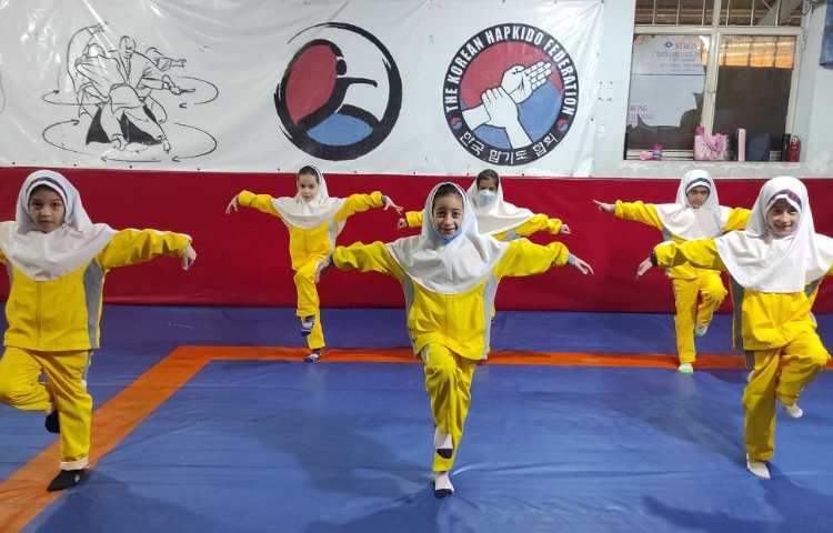 آموزش پرش گربه و مسابقه حمل توپ