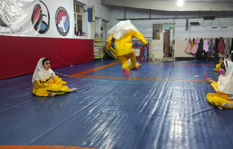 آموزش پرش گربه