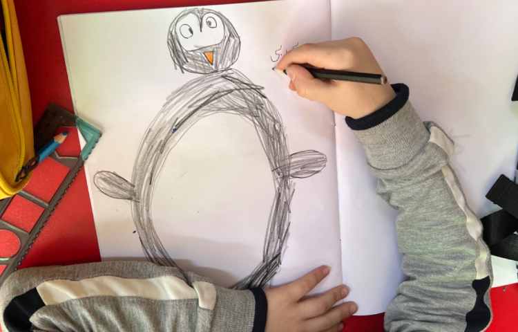 آموزش پنگوئن 1