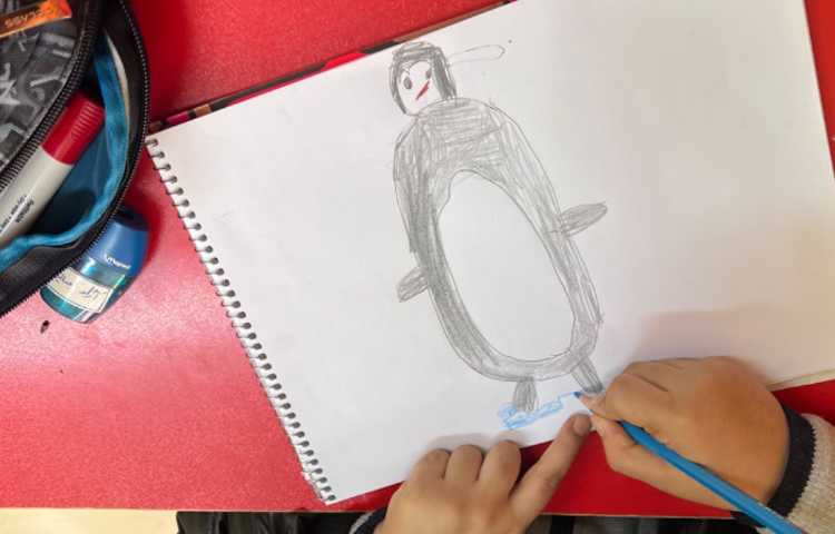 آموزش پنگوئن 4