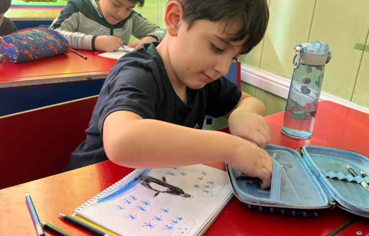 آموزش پنگوئن 7