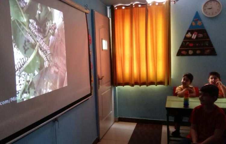 آموزش چرخه ی زندگی جانوران 1