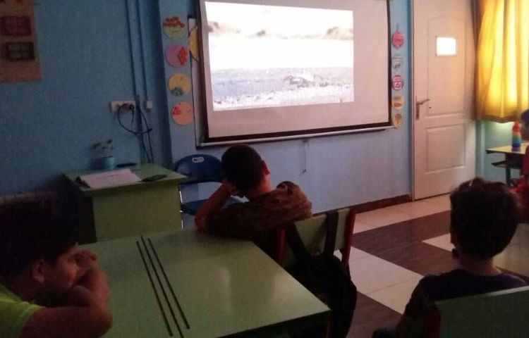 آموزش چرخه ی زندگی جانوران 2