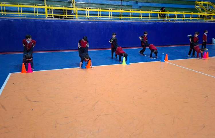 آموزش ژیمناستیک و مهارت های پایه 7