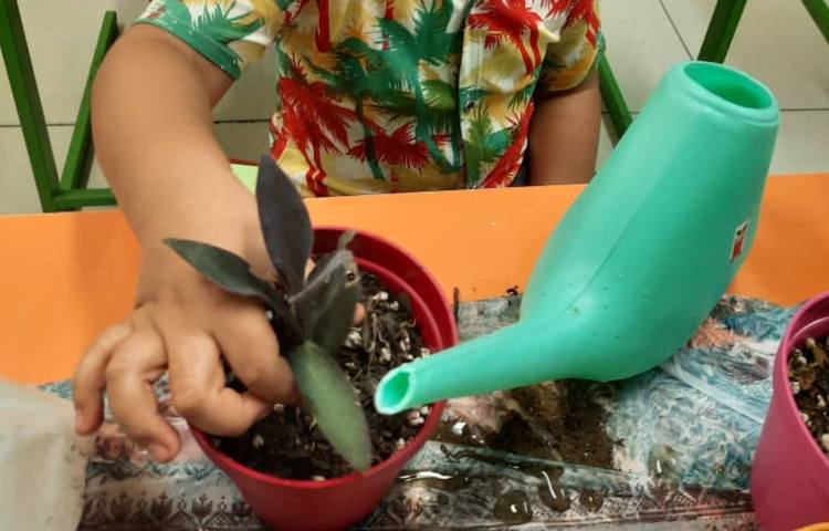 آموزش کاشت گیاه با قصه گویی 1