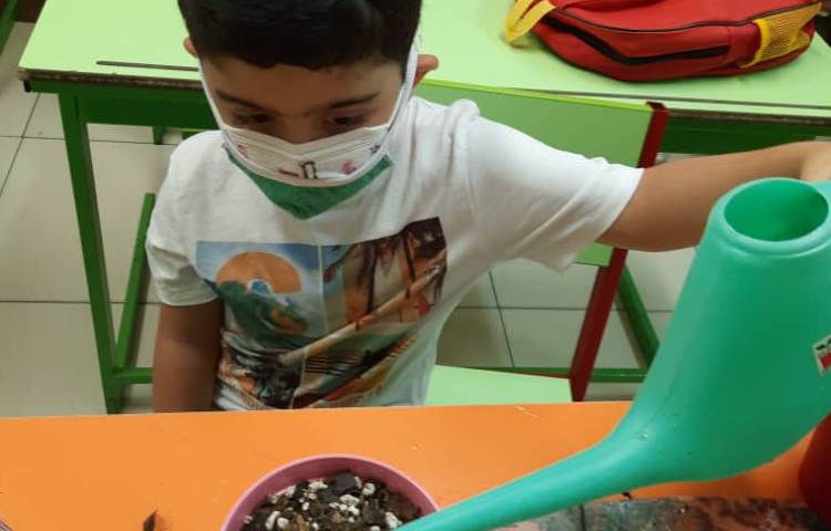 آموزش کاشت گیاه با قصه گویی 2