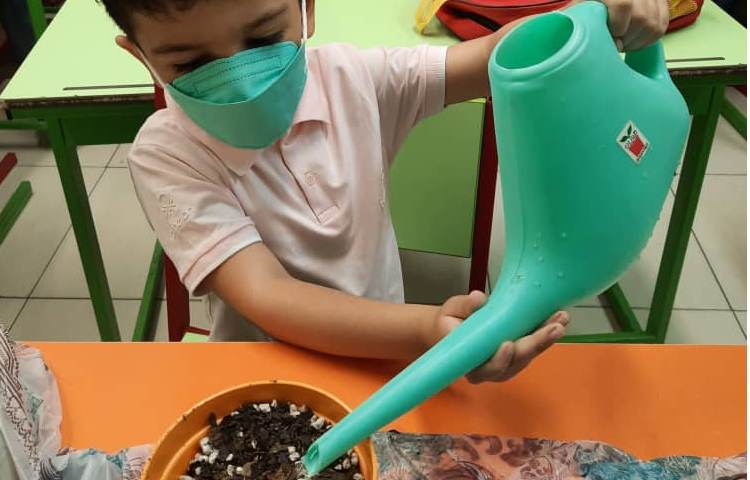 آموزش کاشت گیاه با قصه گویی 6