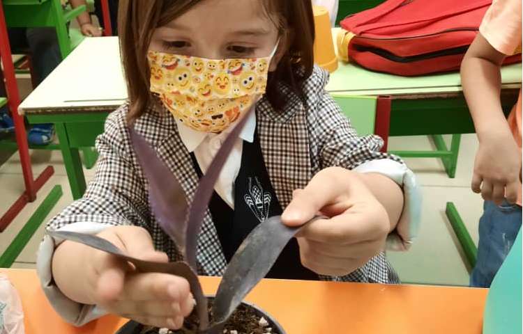 آموزش کاشت گیاه با قصه گویی 7