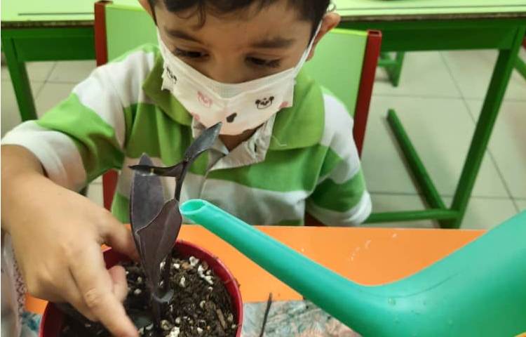 آموزش کاشت گیاه با قصه گویی 8