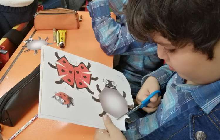 آموزش کلاژ کفشدوزک 2