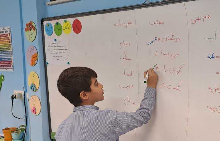 آموزش کلمات مترادف، هم خانواده، هم معنی همراه با دست ورزی 3