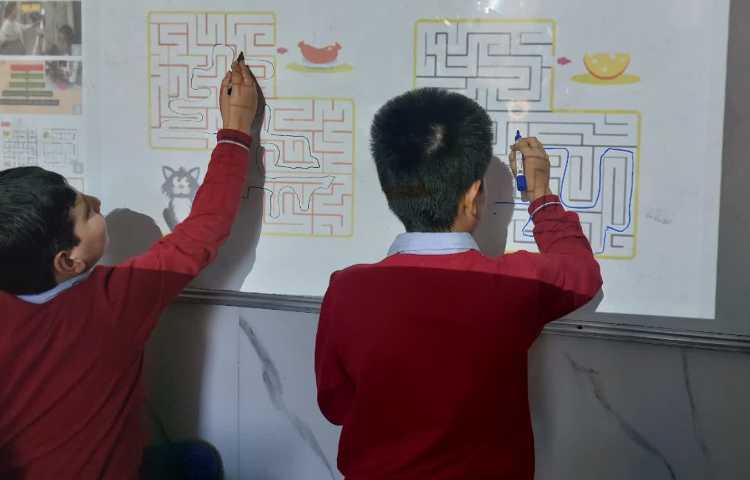 اتیکت تئوری سوسک 3