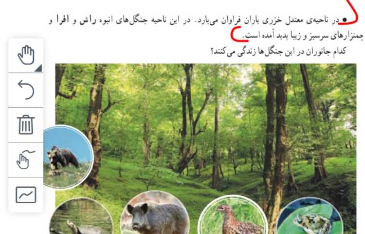 اجتماعی، هدیه 4