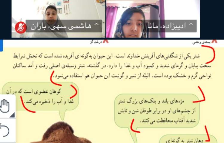 اجتماعی، هدیه 5