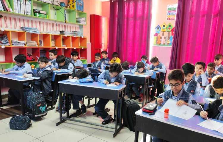 اجرای طرح بیدپا فارسی 2