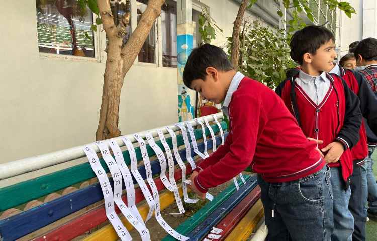 اجرای غوطه‌وری در زنگ تفریح توسط مدرسین زبان 1