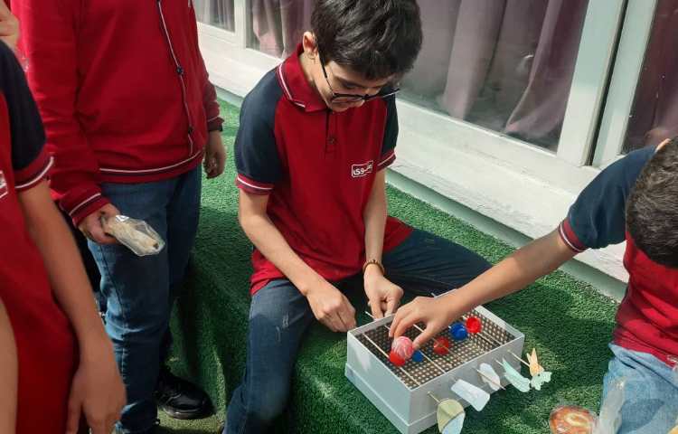 اجرای غوطه‌وری در زنگ تفریح توسط مدرسین زبان 3