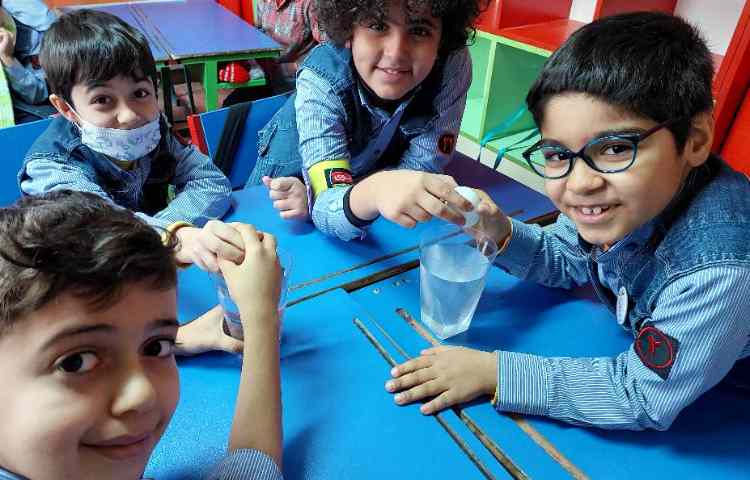 اجرای پروژه‌ی ترفندهای نمکی