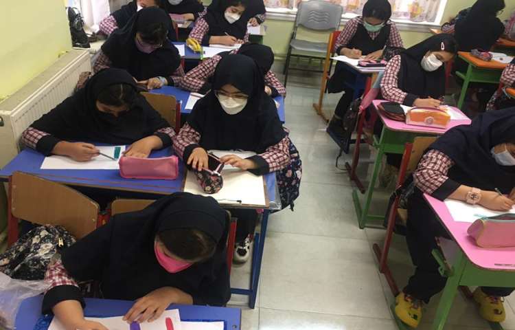 ادامه کار حرفه ای گل با مداد رنگی ( آموزش طراحی ساقه و برگ ، آموزش سایه روشن حرفه ای گلبرگ ها ) 1